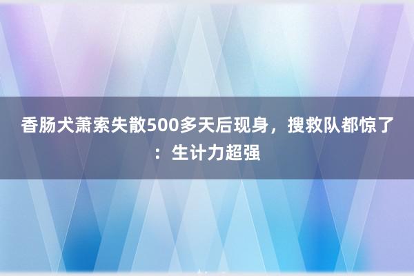 香肠犬萧索失散500多天后现身,搜救队都惊了:生计力超强
